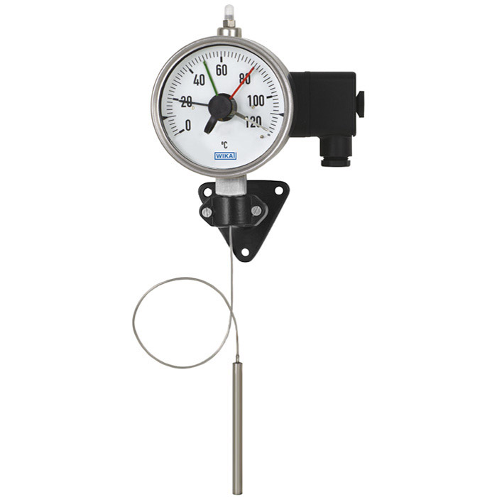 Expansion thermometer with microswitch and capillary