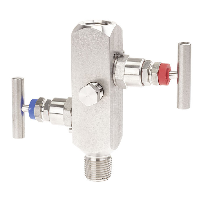 IV20, IV21 Blocking and Discharging Instrumentation Valves