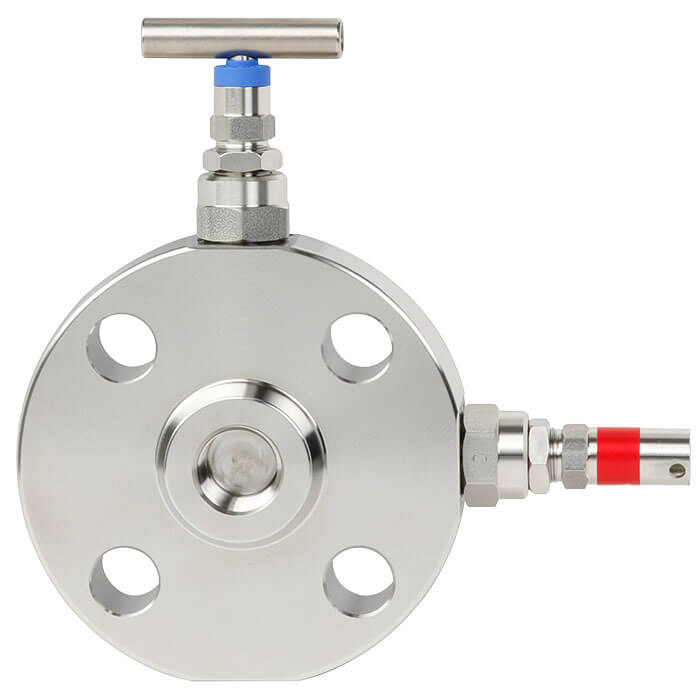 IVM flange valve